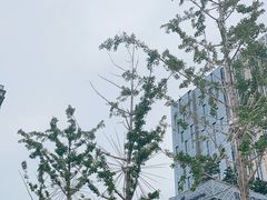 -威高广场