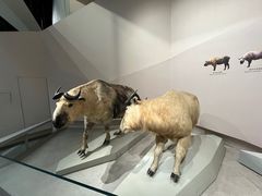 -武汉园博园(武汉自然博物馆)