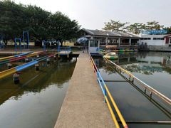 -海上田园
