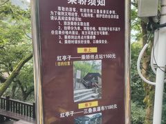 -三叠泉瀑布