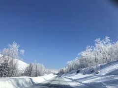 -亚布力新体委滑雪场