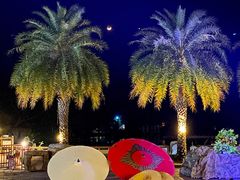 -清迈夜间动物园