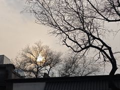 -北京市劳动人民文化宫(太庙)
