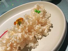 -常来小聚(丰汇时代店)