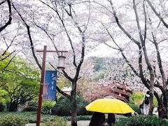 -中国茶叶博物馆(双峰馆区)