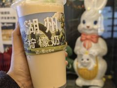 -猫的魔法密林(衣裳街店)