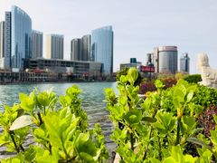 -星巴克(潍坊泰华广场店)