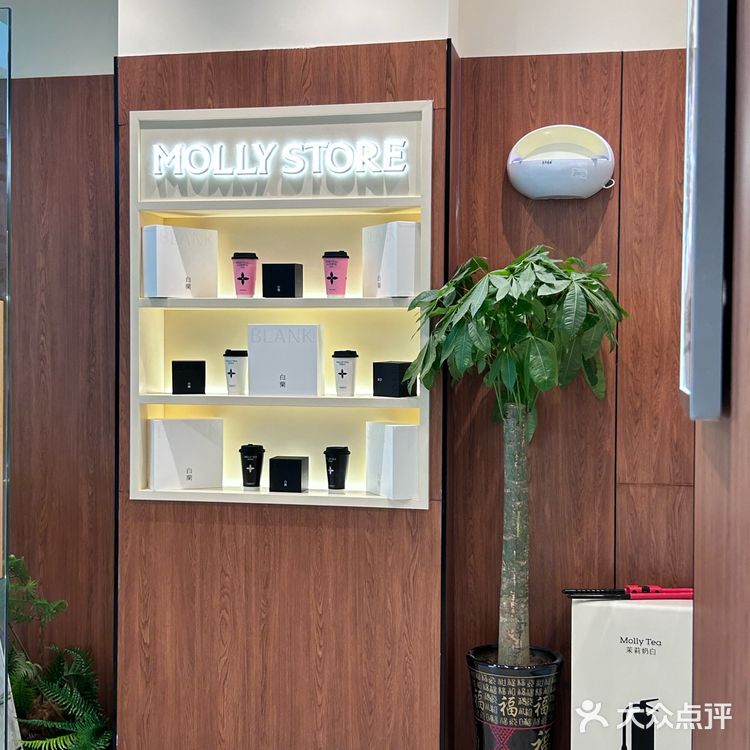 茉莉奶白一口醇香  正宗新国风奶茶！！！