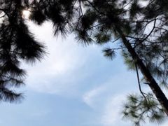 -九里河湿地公园