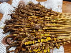 -十里铺铁板鱿鱼