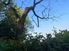 -天目湖涵田半山温泉水乐园