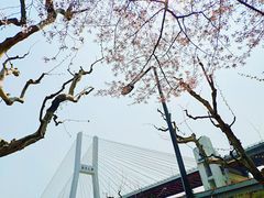 -上海南浦大桥长途旅游客运站