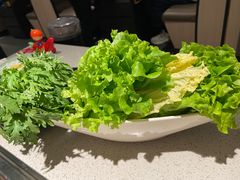蔬菜拼盘-海底捞大排档火锅(悦荟广场店)