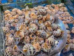 -粤盛海鲜平价店(洛溪食街店)