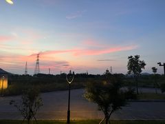 -桃花岛风景旅游区
