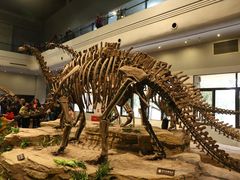 -自贡恐龙博物馆