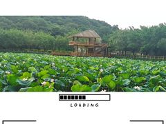 -李小龙乐园(顺德均安店)