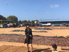 -尼甘布海鲜市场