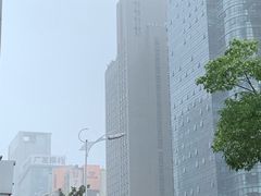 -长沙小天鹅戴斯酒店