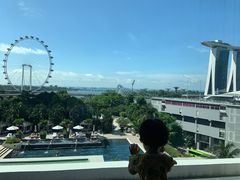 -新加坡摩天观景轮