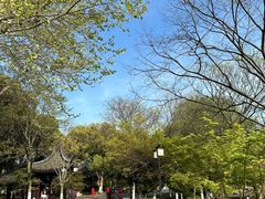 -范蠡湖公园