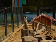 -大连森林动物园