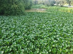 -沈阳植物园