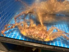 -海月轩海鲜豆捞(紫金塔店)