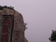-泰山红门国际青年旅舍