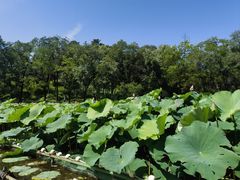 -承德避暑山庄景区