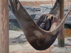 -杭州野生动物世界