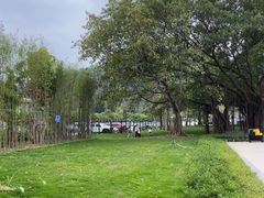 -南沙蒲洲花园