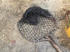 -向外鱼乐·土菜·虹鳟鱼