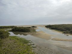 -北海金海湾红树林生态旅游区