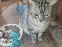 -有才叔的小馆(招商依云曲江店)