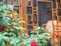 门面-三色堇(小通巷店)