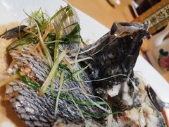 -鹭岛新泉客家菜·海鲜·融合菜(莲前店)