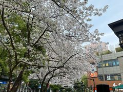 -玛格萝妮比萨屋(四平店)