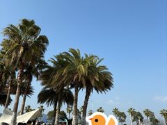 -柳湖沙月沙滩公园