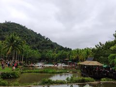 -呀诺达热带雨林