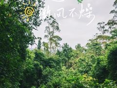 -火炉山森林公园