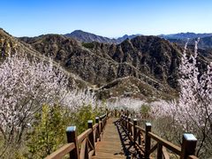 -大岭沟猕猴桃谷风景区