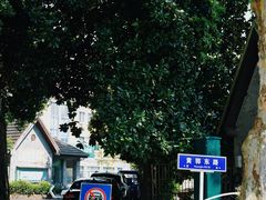 -莫干山风景区