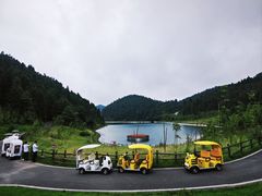 -武陵山森林公园