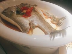 葱椒鲈鱼-绿茶餐厅(首开福茂店)
