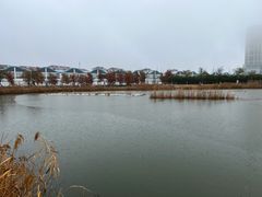 -鹦鹉洲湿地公园