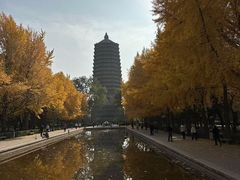 -玲珑塔公园