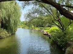 -上海滨江森林公园