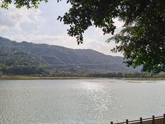 -风云岭森林公园