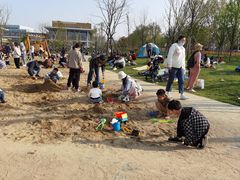 -上海浦东星河湾酒店